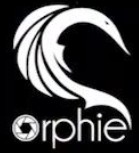 &#107;&#111;&#107;&#111;&#20307;&#32946;&#97;&#112;&#112;&#23448;&#32593;&#20837;&#21475;&#40;&#23448;&#26041;&#41;&#65;&#80;&#80;&#19979;&#36733;&#73;&#79;&#83;&#47;&#65;&#110;&#100;&#114;&#111;&#105;&#100;&#36890;&#29992;&#29256;&#47;&#25163;&#26426;&#97;&#112;&#112;